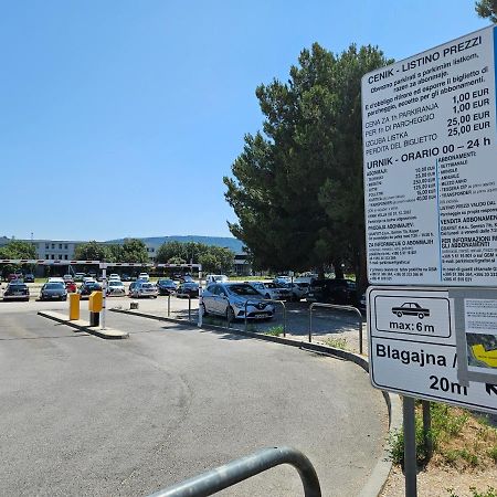 Apartment Gaja, Capodistria Esterno foto